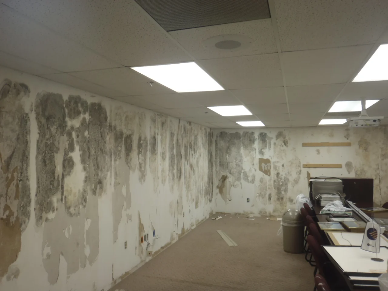 Mold Testing in Orlando and Indoor Air Quality Testing Clear Property