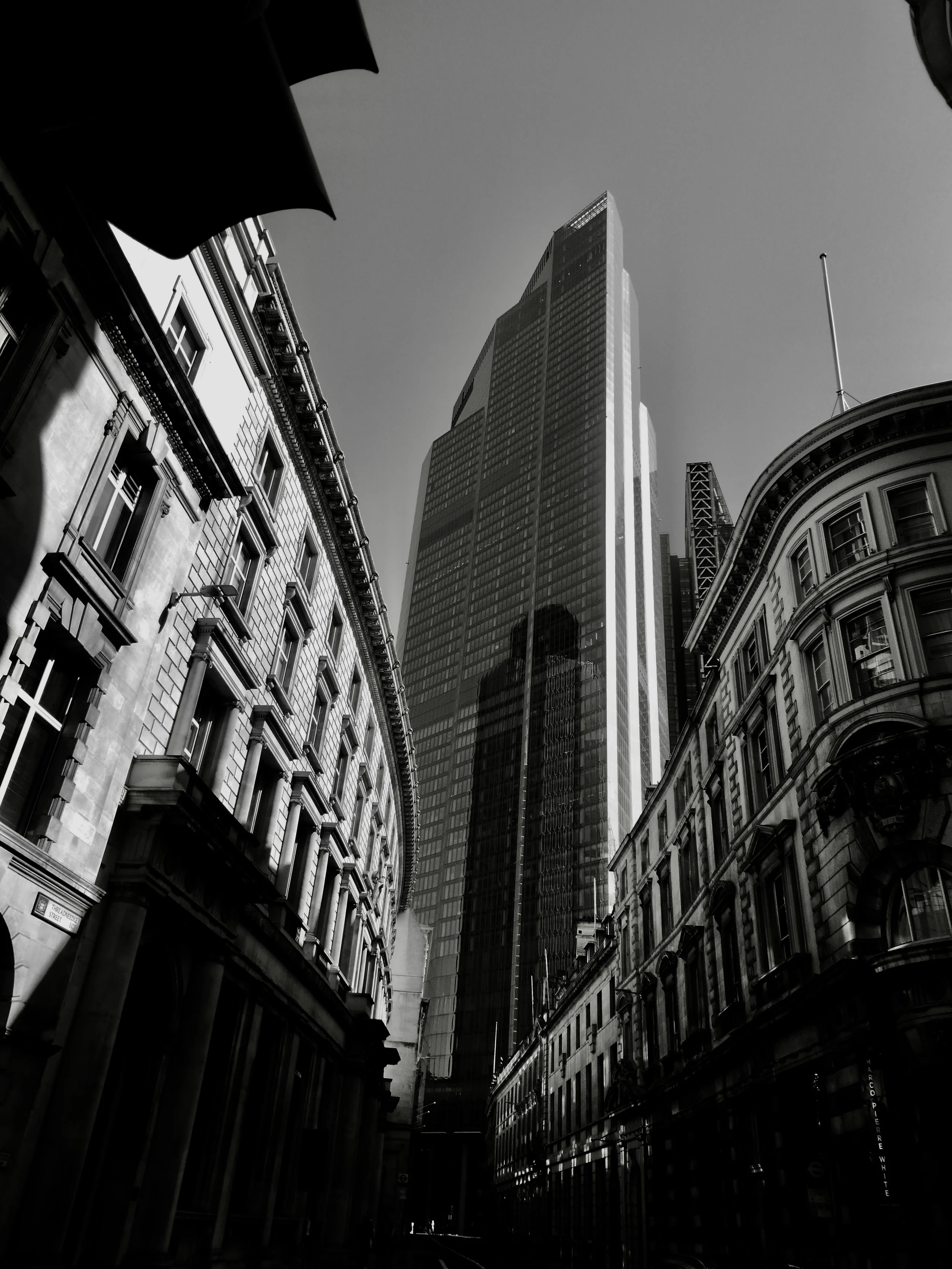 P1000674.JPG