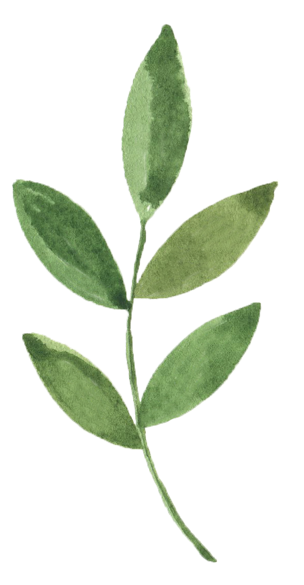 LEAF_43.png