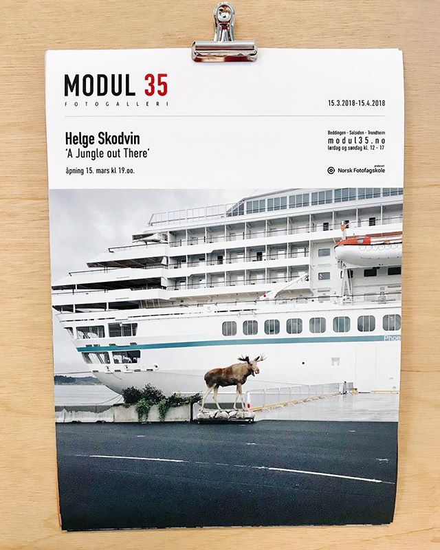 Opening thursday at 19:00! @hskodvin ‘A Jungle Out There 🦌 Still a few free seats vacant for the Artist Talk, thursday 10:00 at the Photo school. Send us an e-Mail modul35@fotofagskolen.no - if you want to join us! #exhibitionopening #photogallery #artisttalk #helgeskodvin #ajungleoutthere