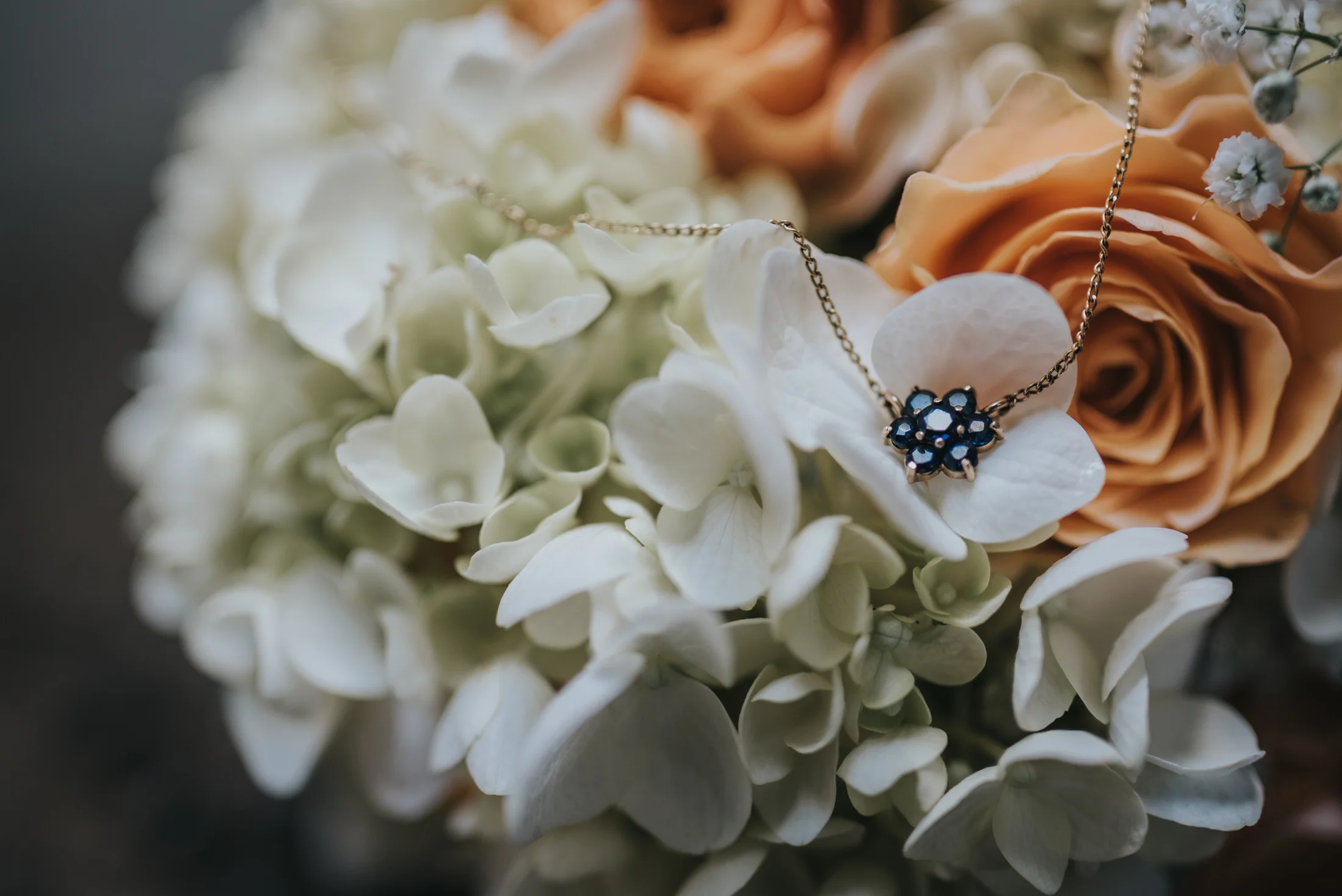 Top Auckland Palmerston North Wellington NZ Photographer New Zealand Wedding Elopement Destination Candid Special Wedding Photographer Photography Couple Engaged Engagement Style Love Ohariu Farm