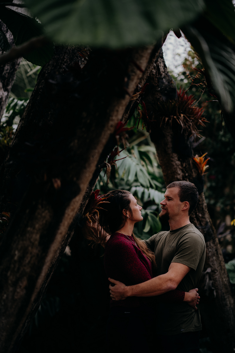 Botanic Gardens - Engagement Photoshoot - Auckland Wedding Photography