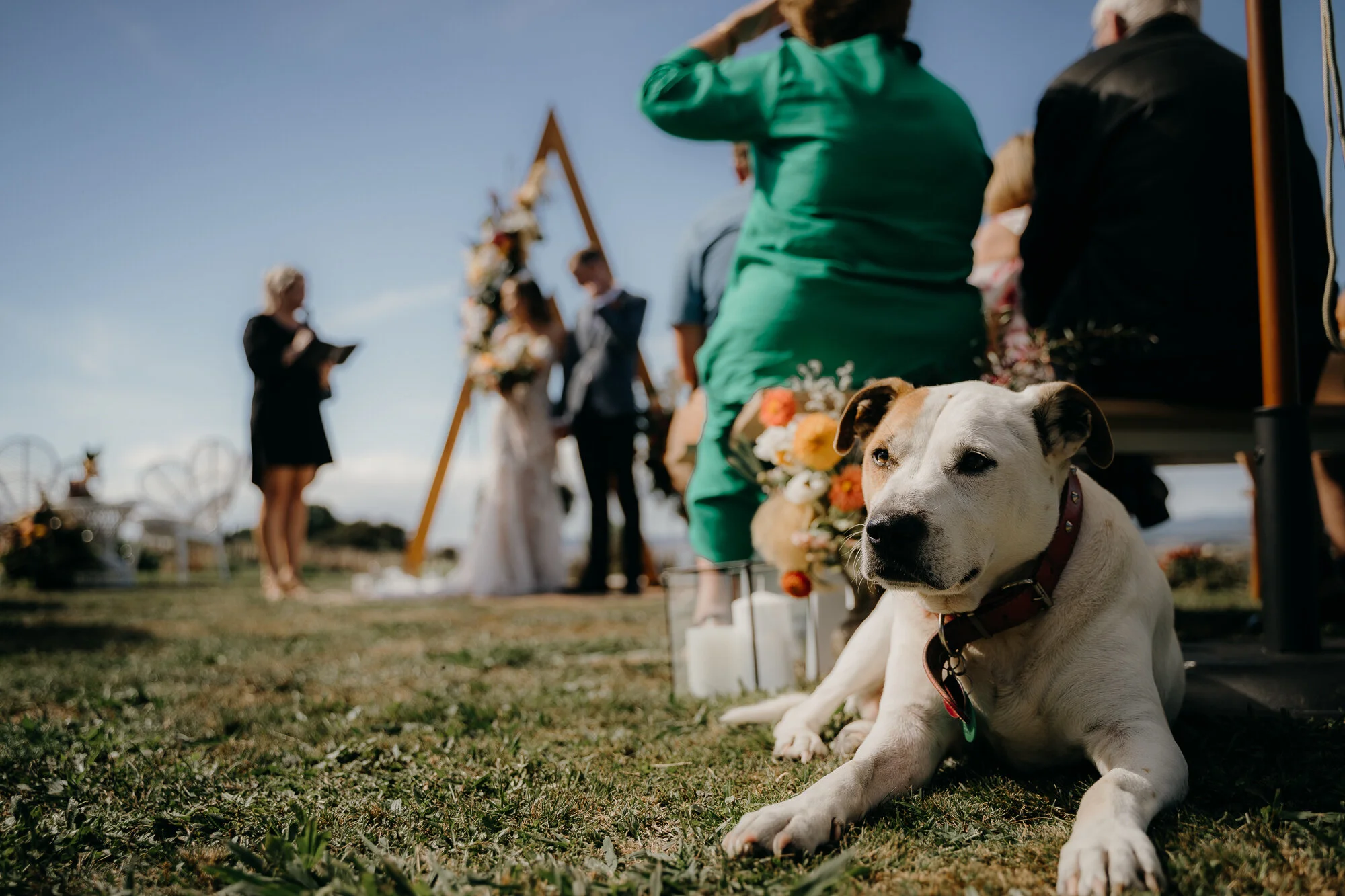 Auckland wedding photographer