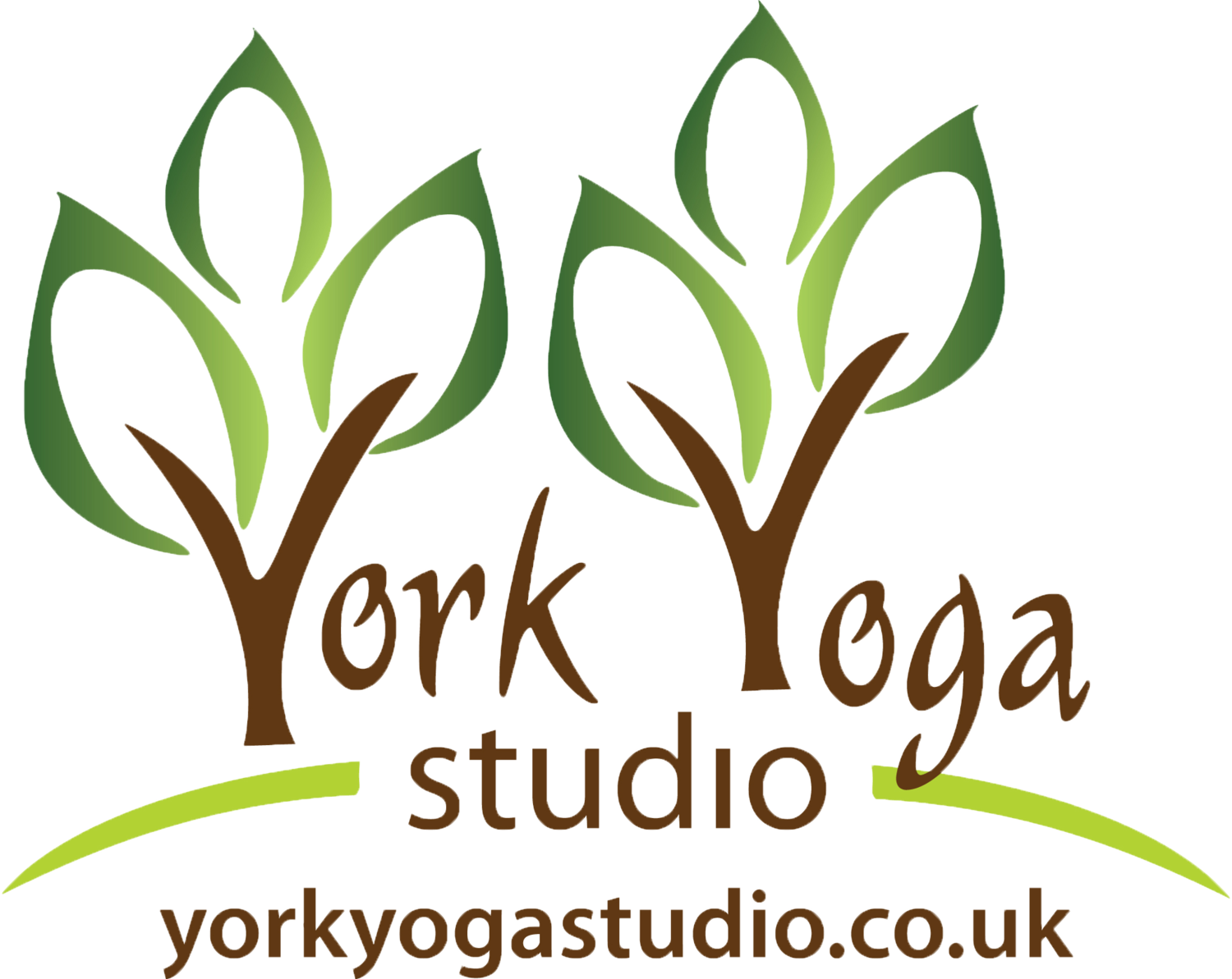 York Yoga Studio