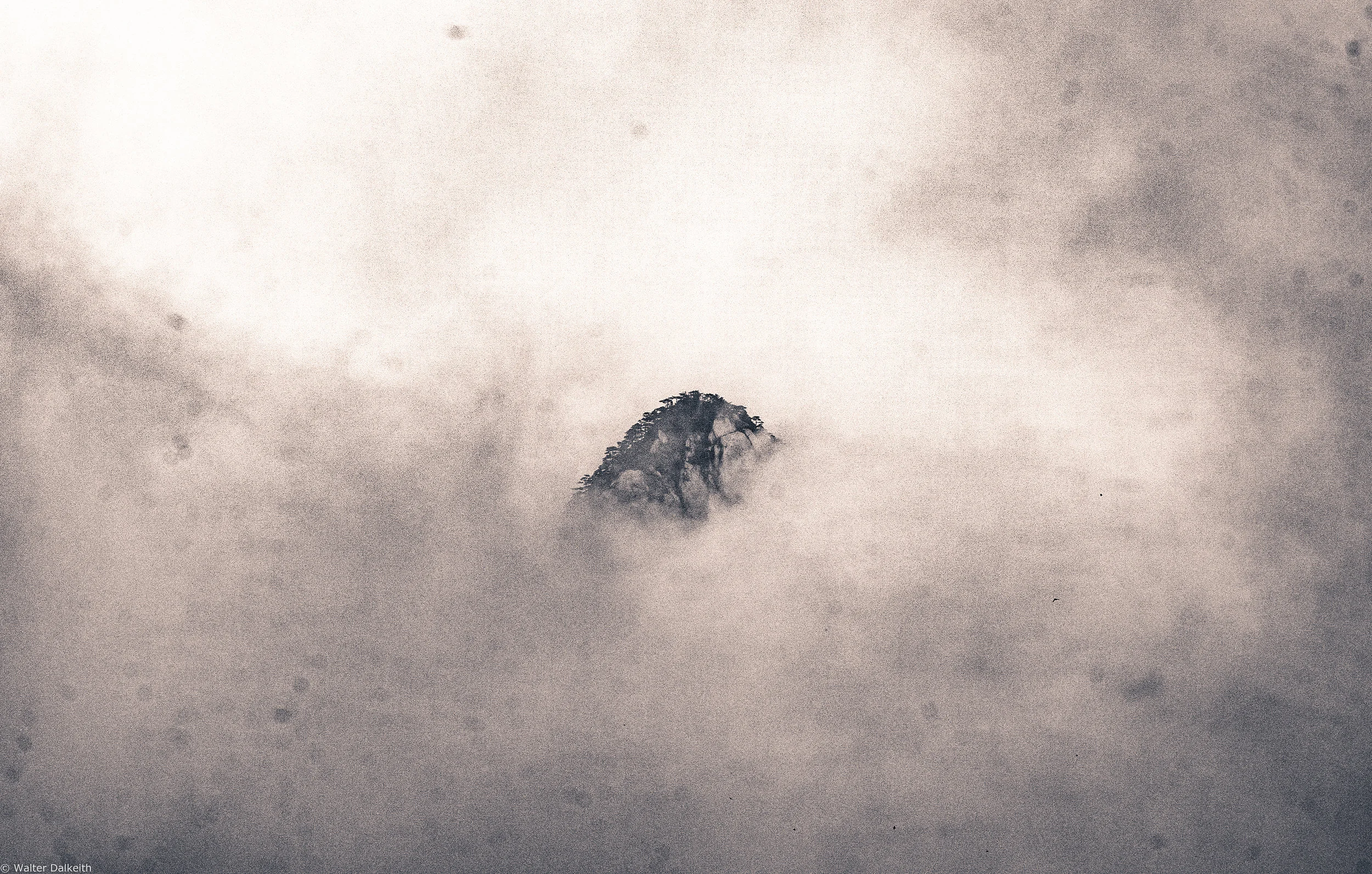 Hidden Flight