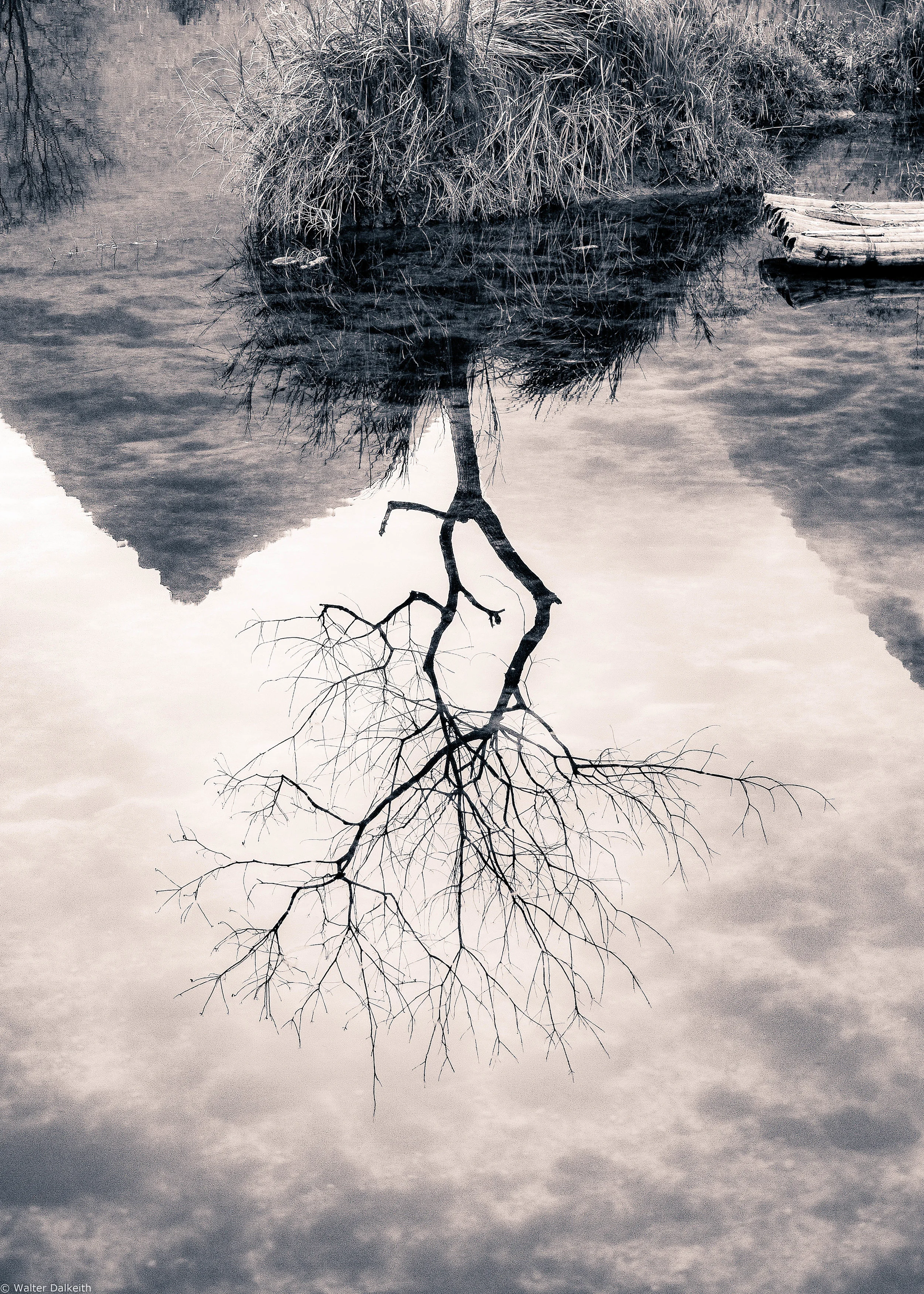 No. VI - Raft - Yulong River, China 2015