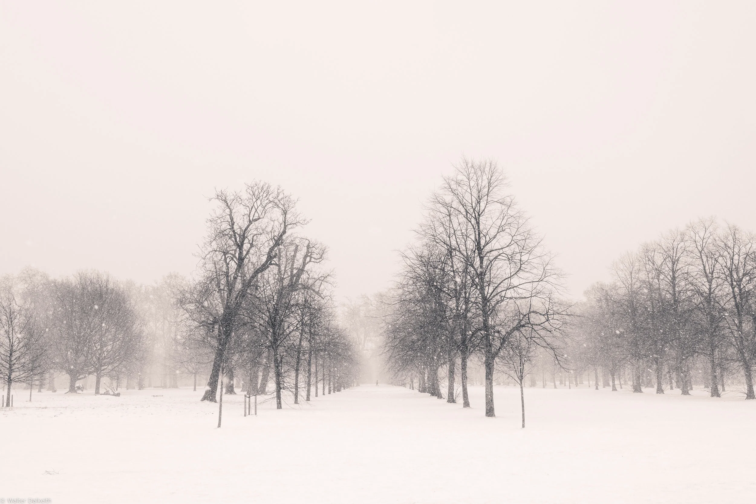 Out alone in the cold 1