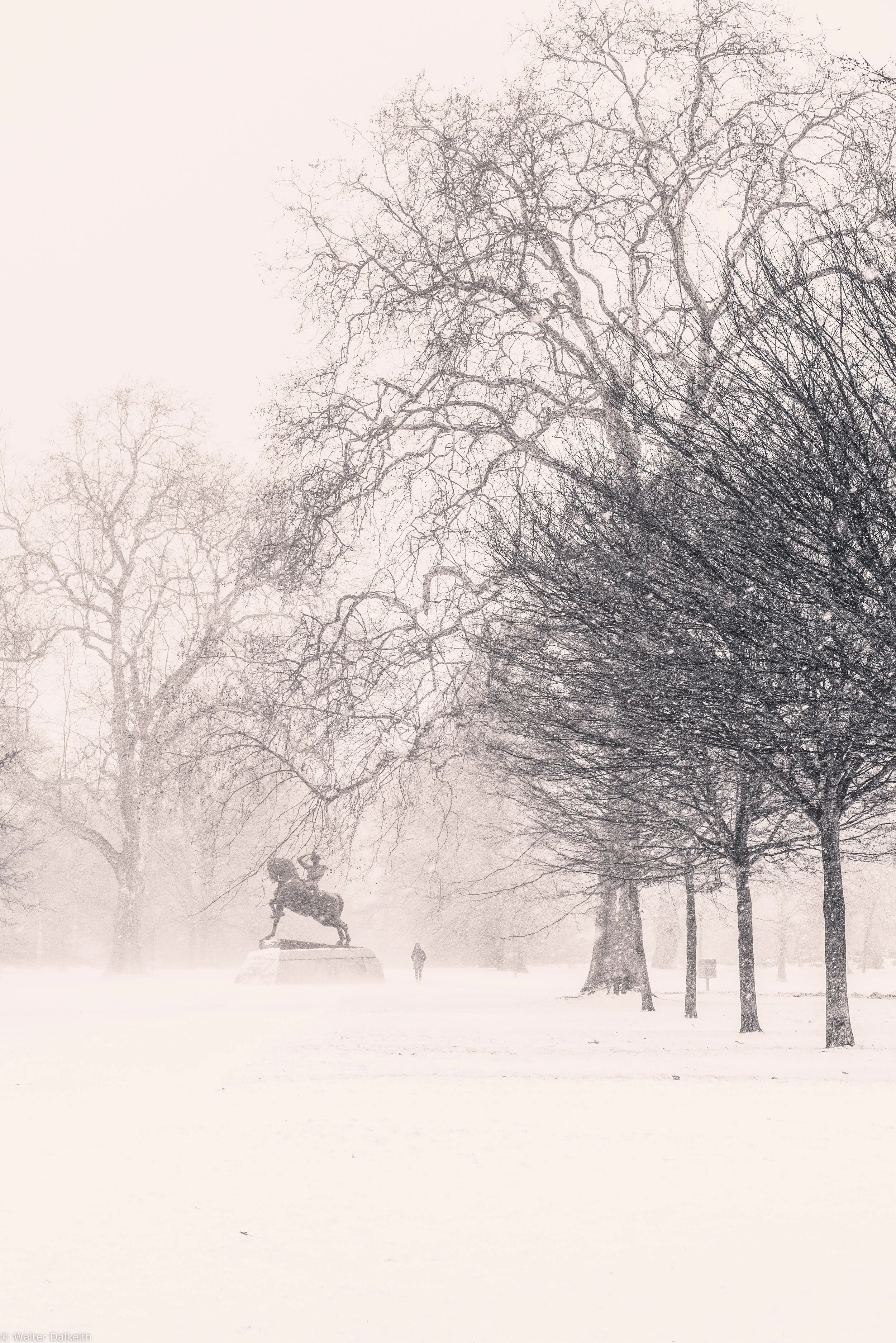 Out alone in the cold 4