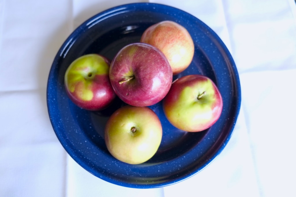 Cardamom Apple Pie (Gluten-Free) 2014 11 15 00.37.51