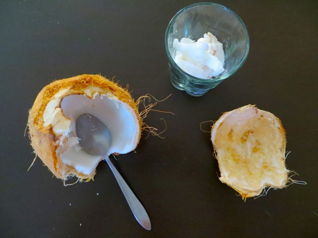 Coconut Milk Recipe: How to Make in Two Easy Ways 2015 02 08 12.39.56