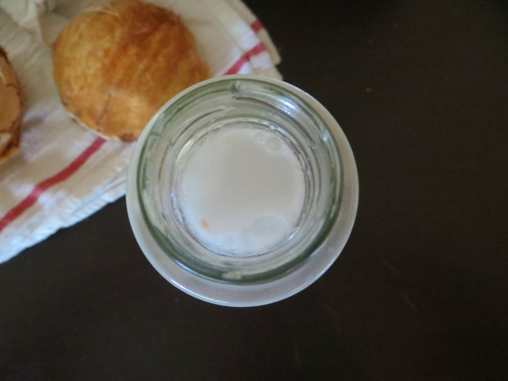 Coconut Milk Recipe: How to Make in Two Easy Ways 2015 02 08 13.06.10