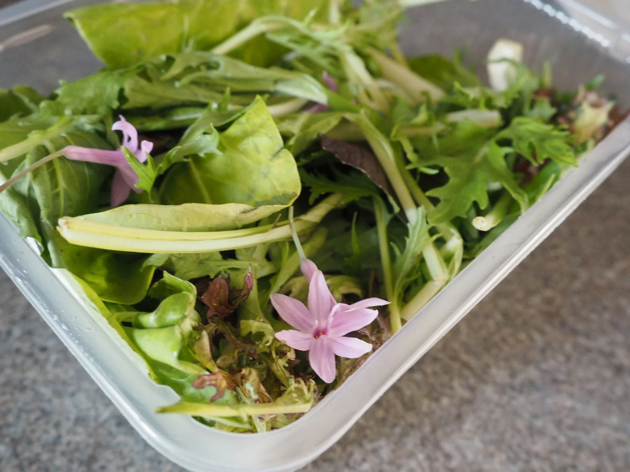 Grilled Chicken Salad with Edible Flowers