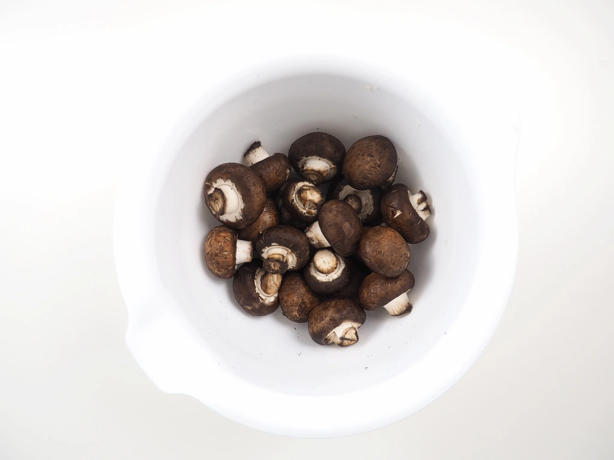 Savory Mushroom Soup0