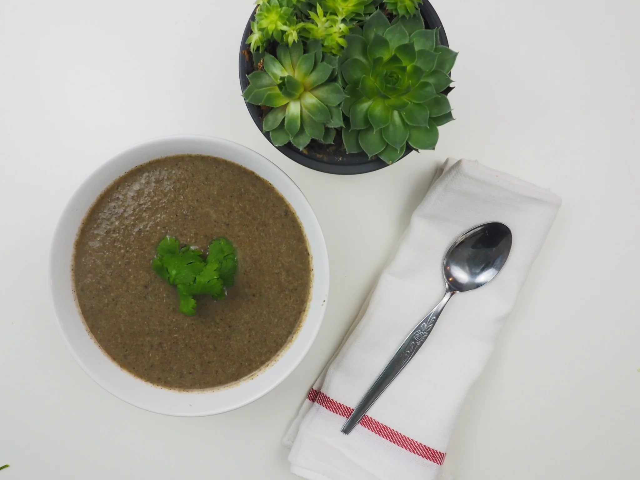 Savory Mushroom Soup5