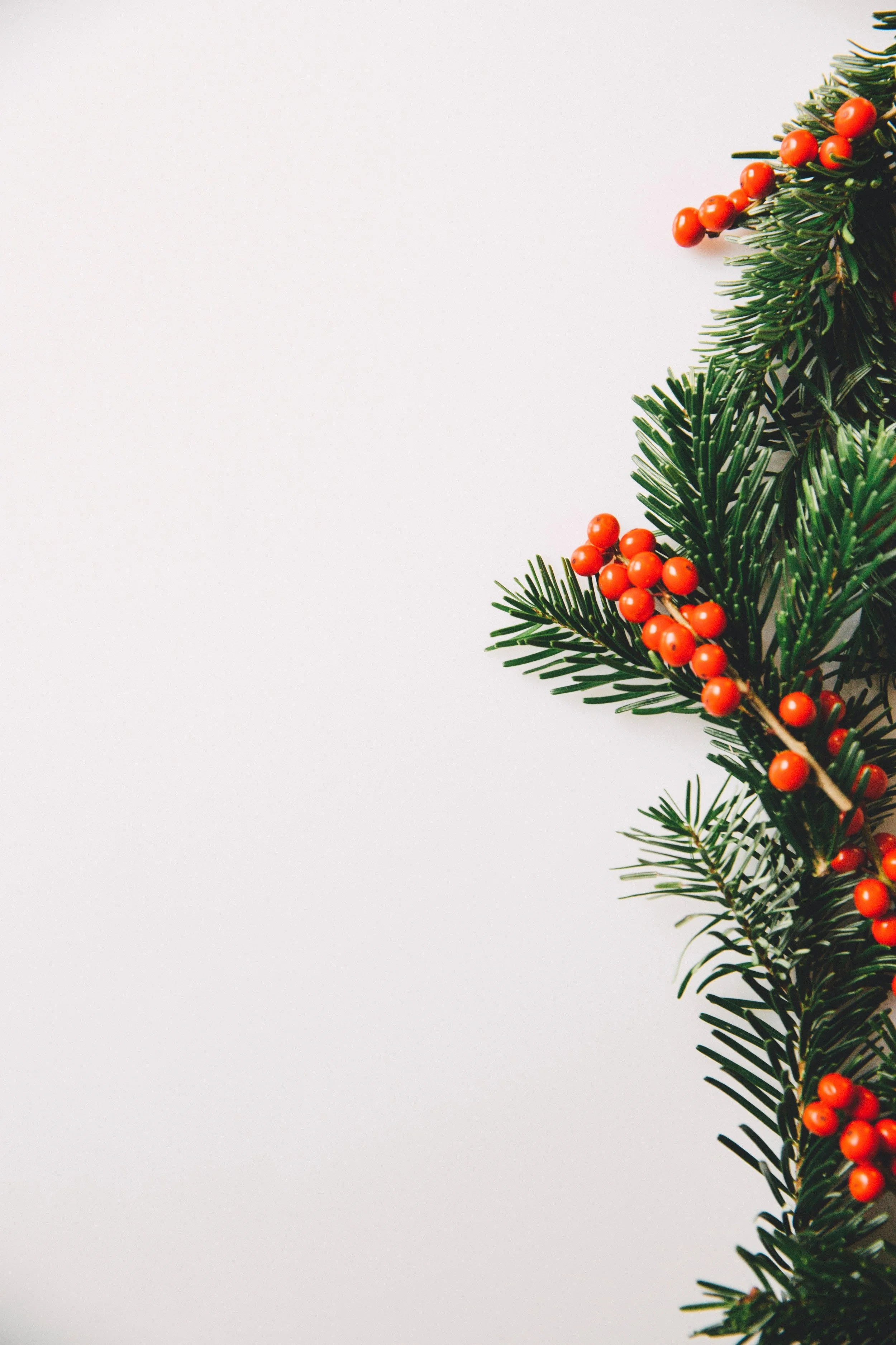 Insiders Guide To Holiday Entertaining image asset