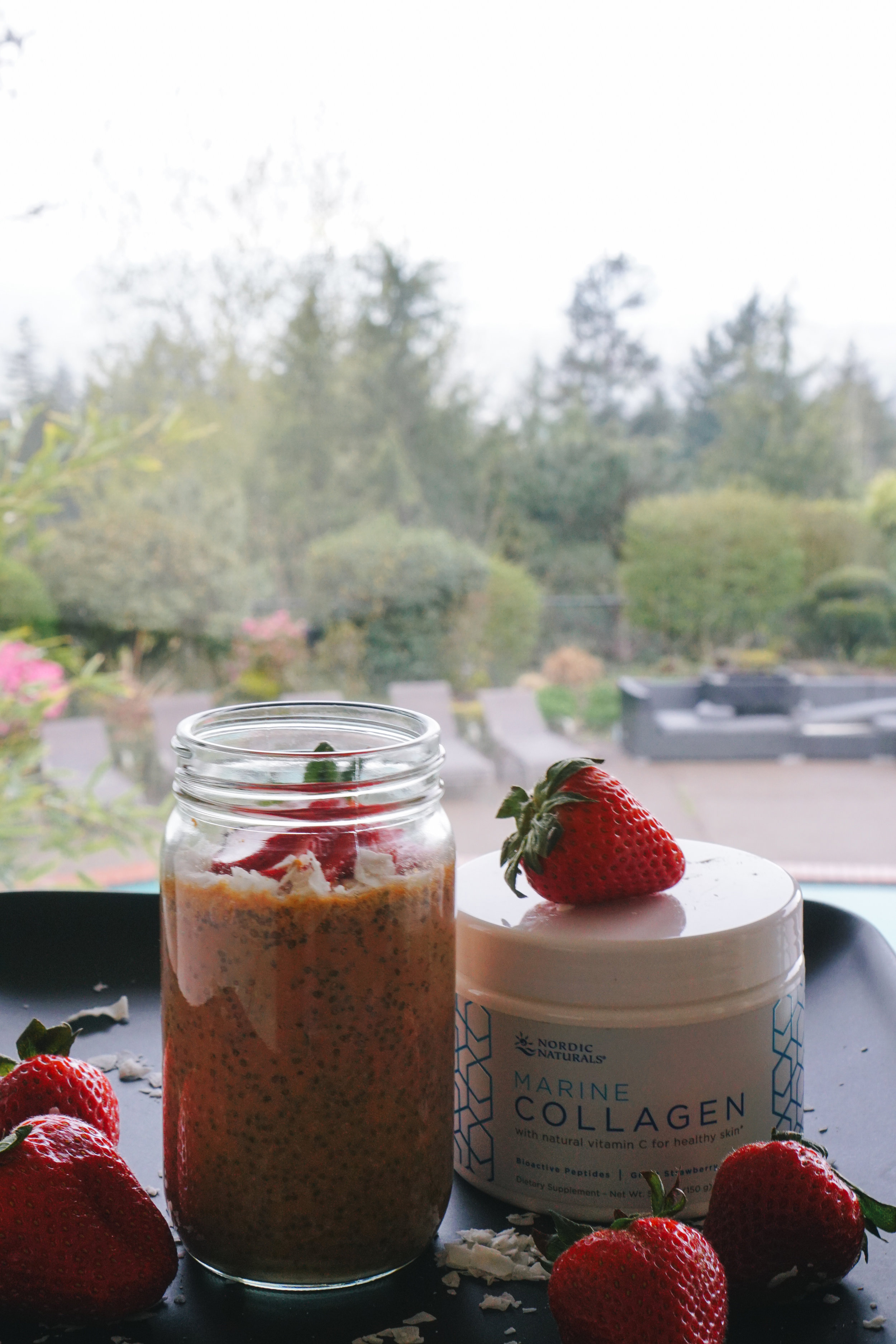 Nordic Naturals Collagen Strawberry Fields Collagen Chia Pudding  - healthy meals, gluten free, keto friendly, low carb - www.letsregale.com _ 8.jpg