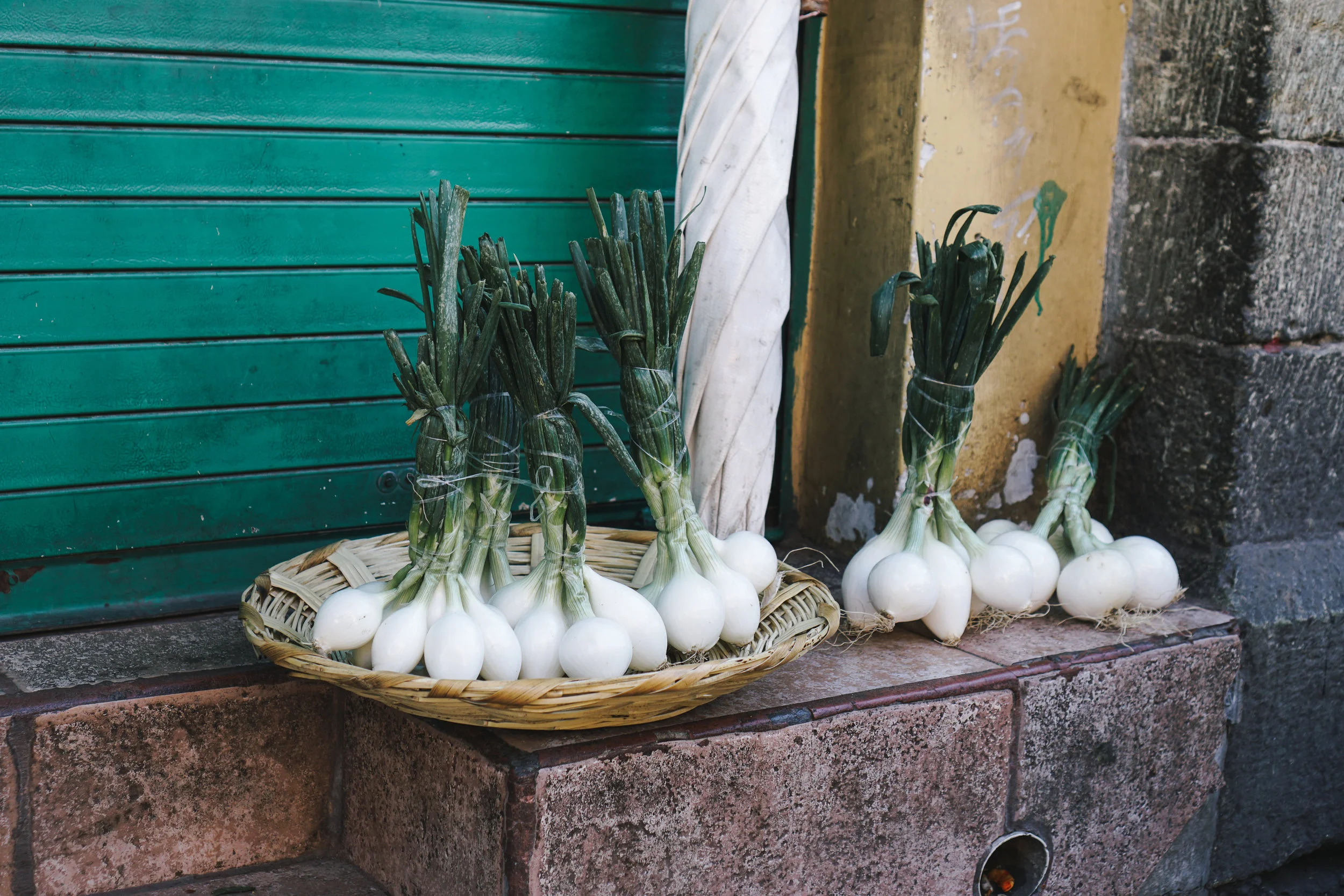 Insiders Guide to Oaxaca image asset
