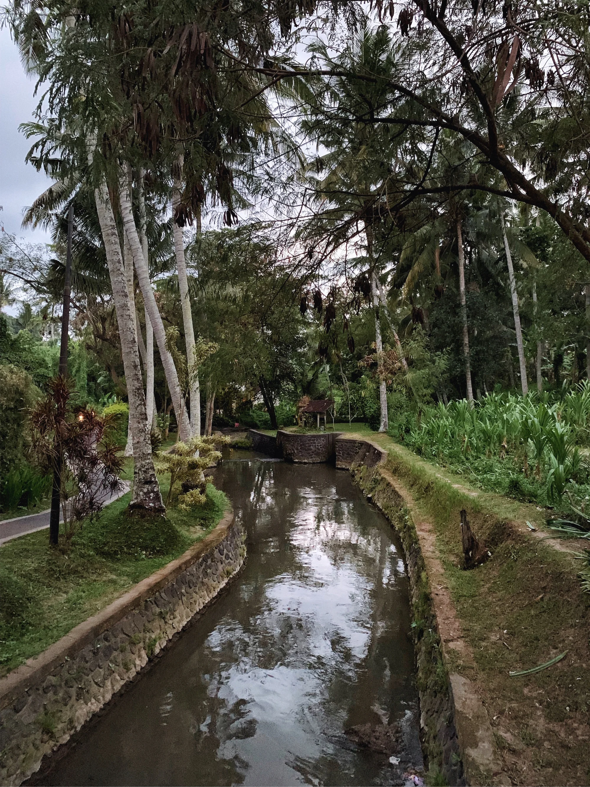Insiders Guide to Ubud - www.letsregale.com 8.jpg