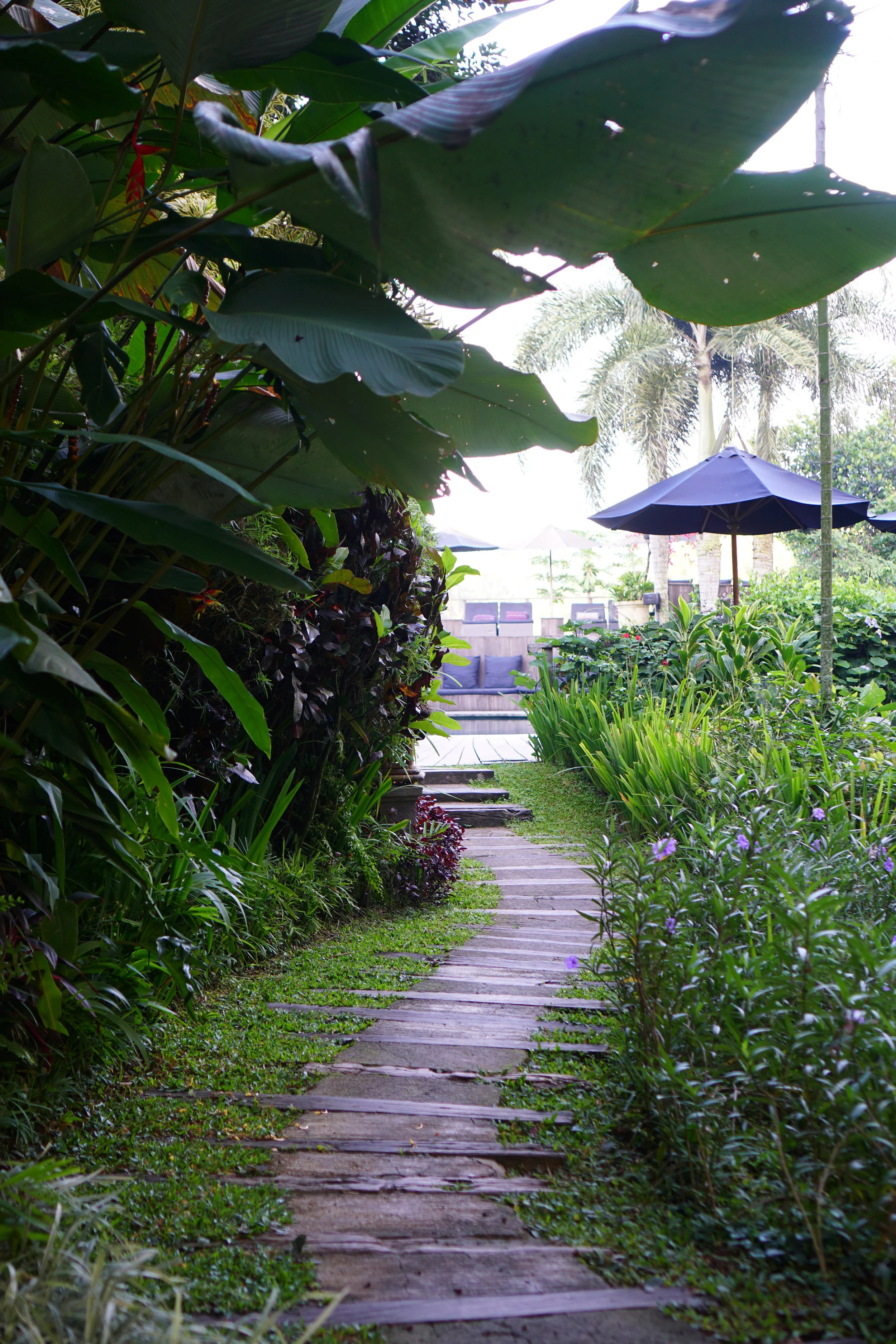 Insiders Guide to Ubud - www.letsregale.com 40.jpg