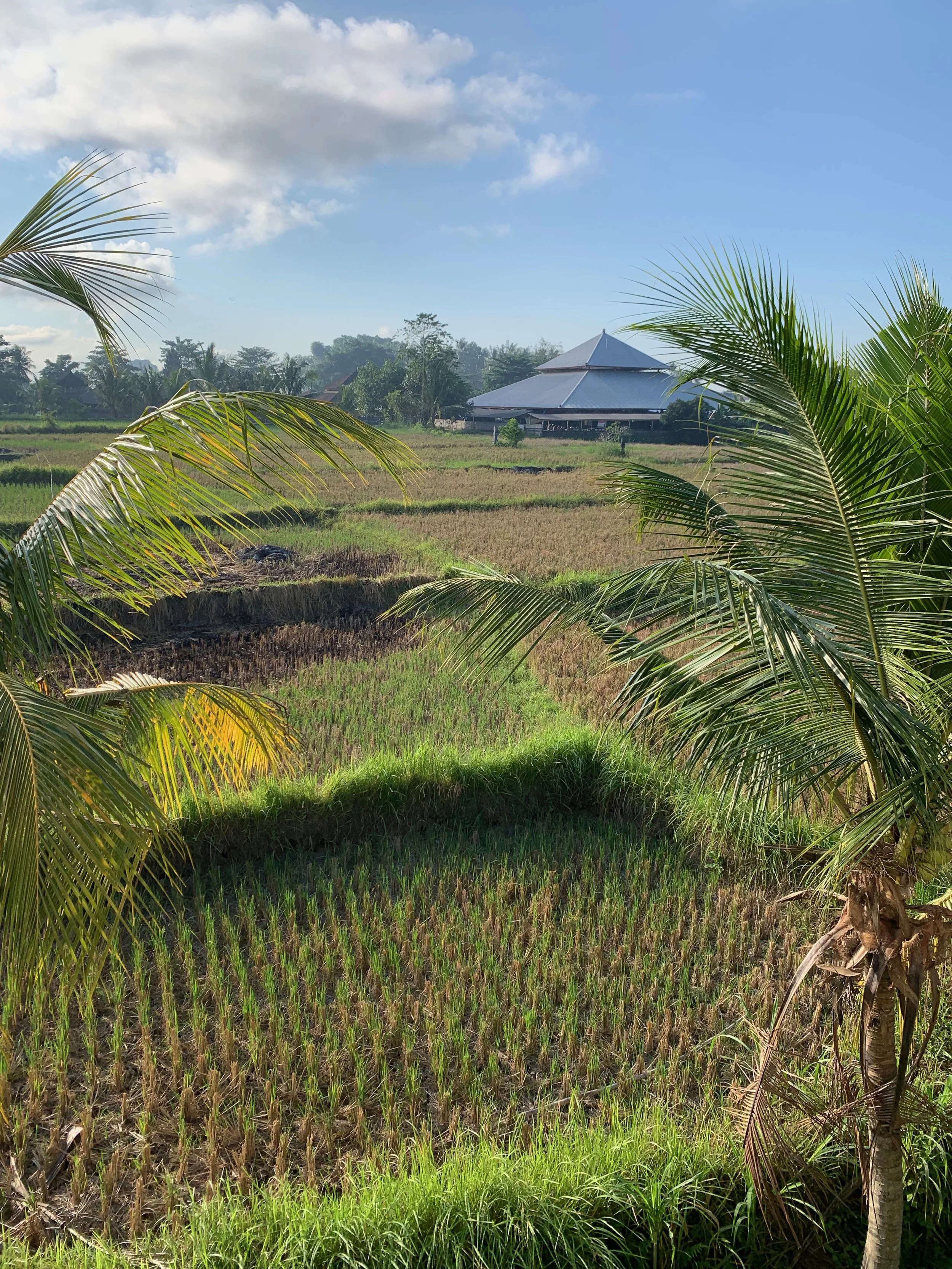 Insiders Guide to Ubud - www.letsregale.com 11.jpeg