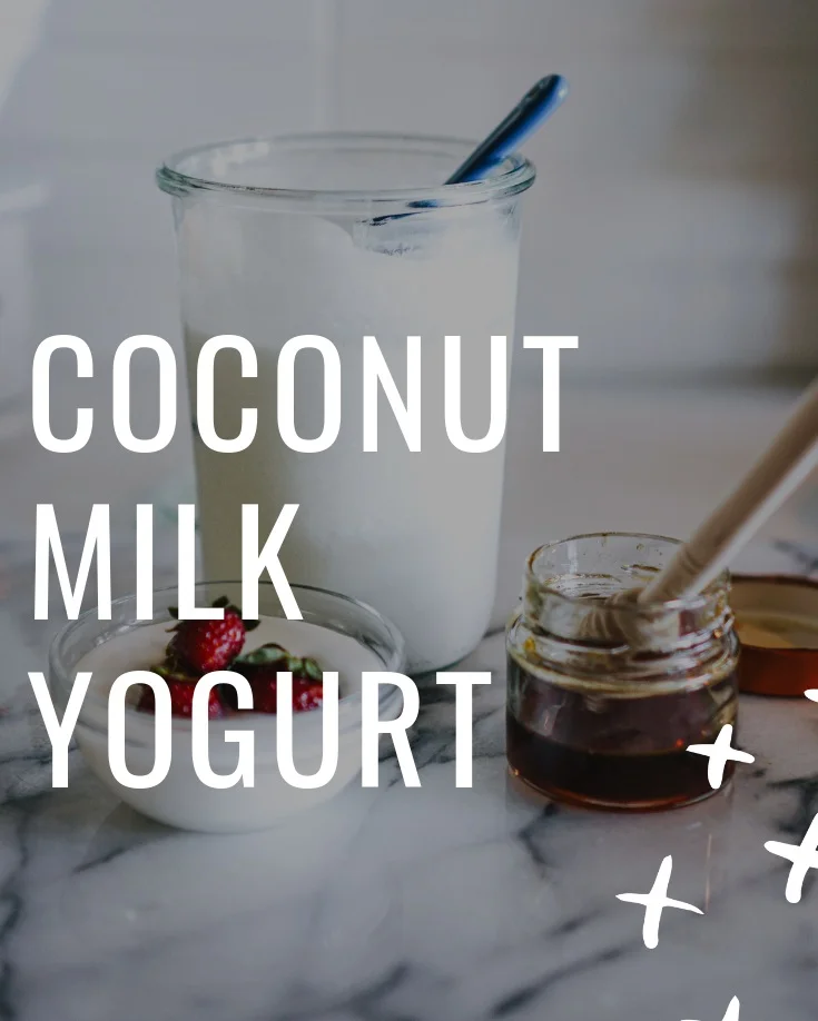 Coconut Milk Yogurt — Wellness Bum