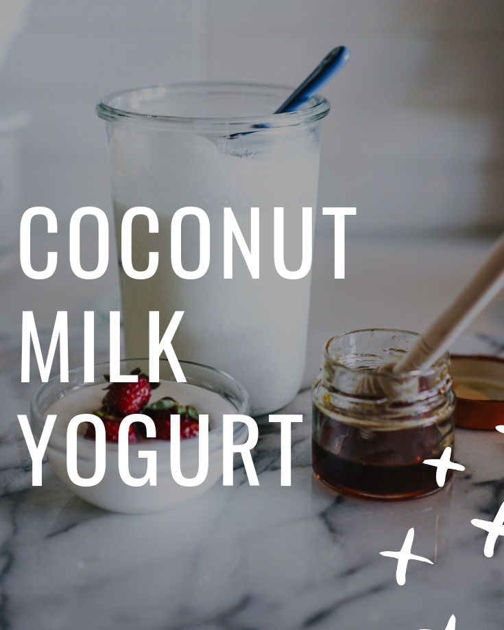 Coconut+Milk+Yogurt+-+dairy-free%2C+soy-free%2C+gluten-free%2C+plant+based-+www.letsregale.com+-+food%2C+travel%2C+wellness%2C+female+solo+travel++%281%29.jpg