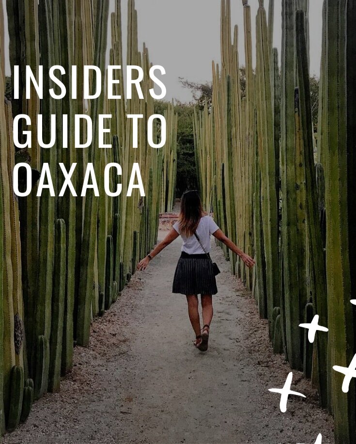 Insiders+Guide+To+Oaxaca+-+www.letsregale.com+-+food%2C+travel%2C+wellness%2C+female++solo+travel.jpg