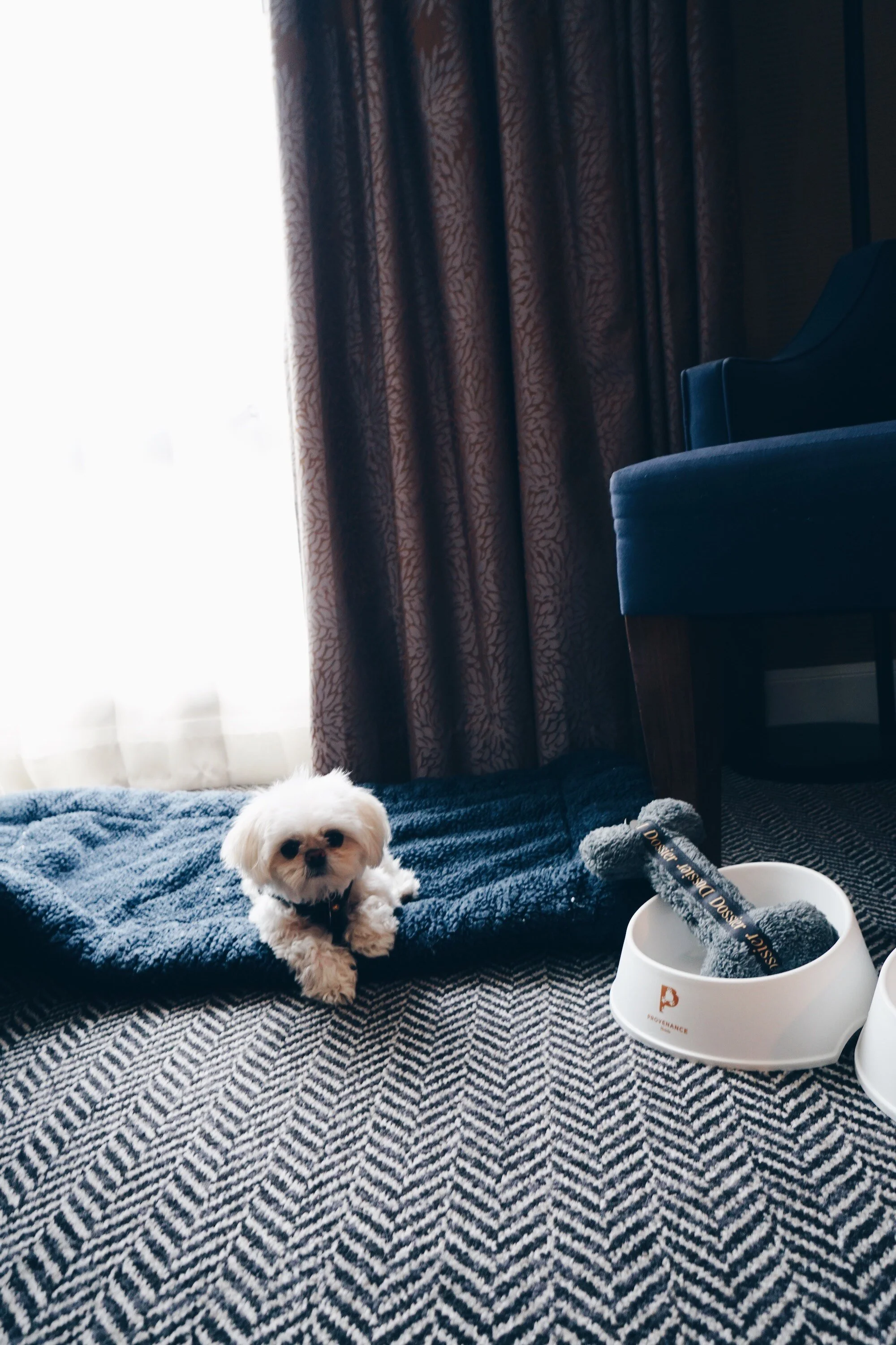 Checking Into The Dossier Hotel Portland, OR Pet-friendly