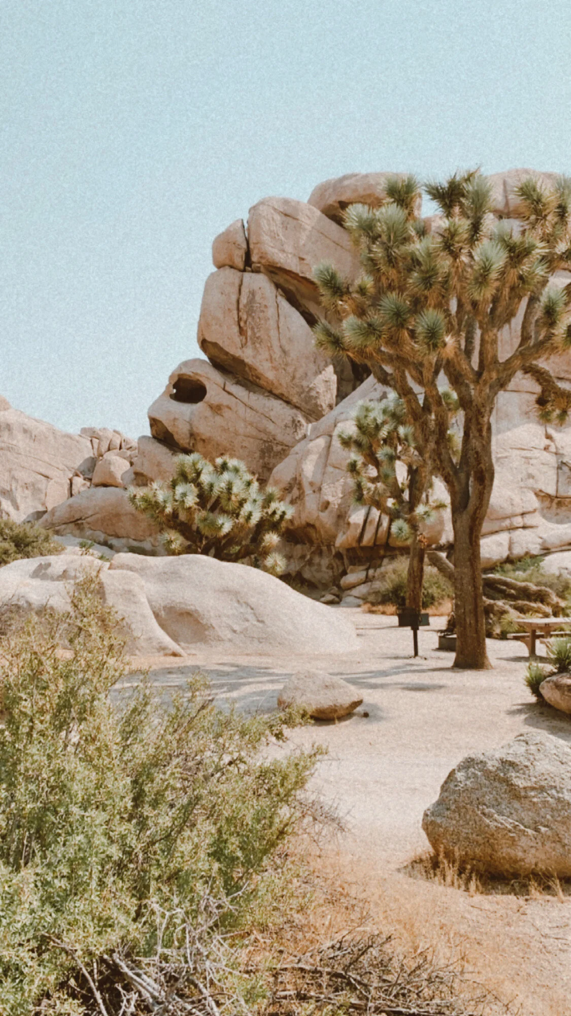 the weekender: palm springs - travel during covid-19