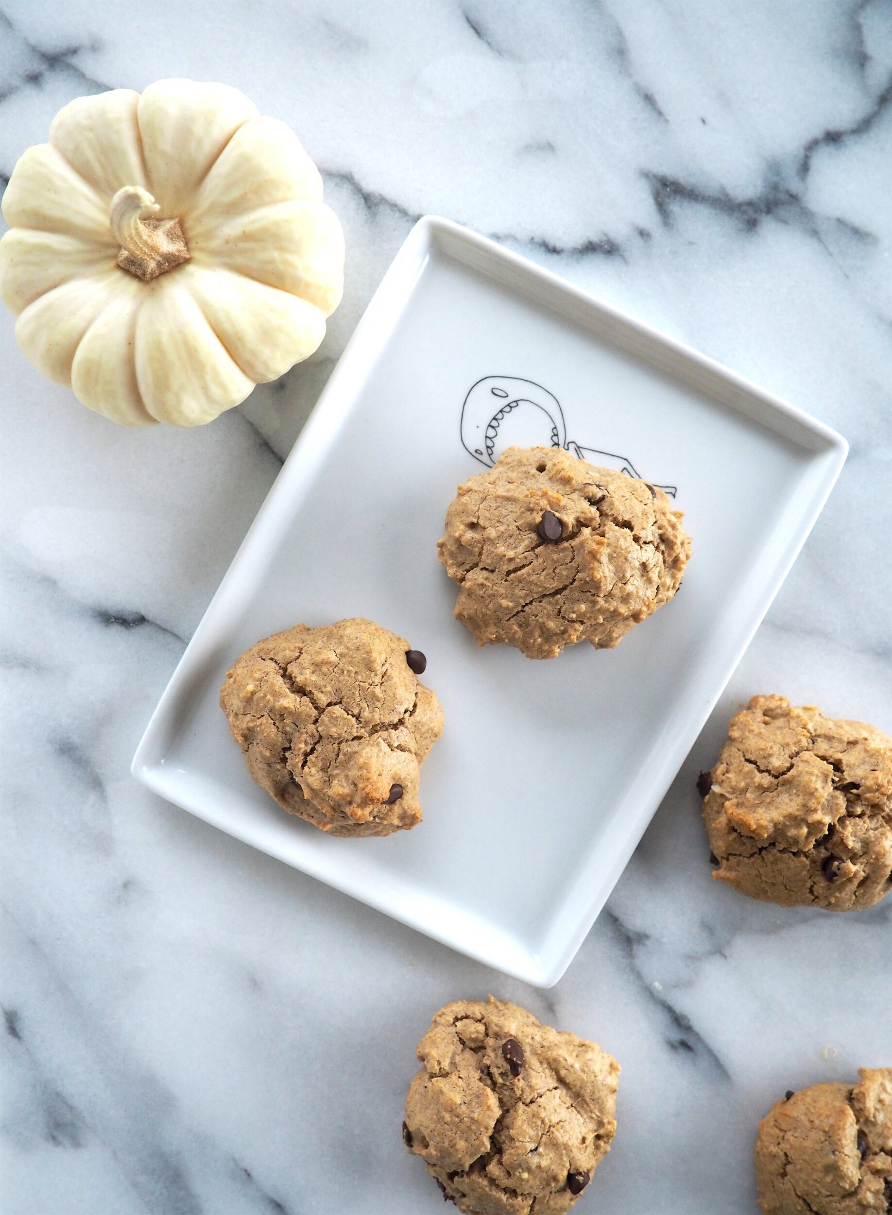 Pumpkin Spiced Chocolate Chip Protein Cookies