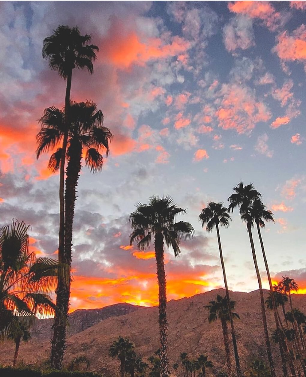 weekend-guide-to-palm-springs-palm-sptrings-sunset.jpg