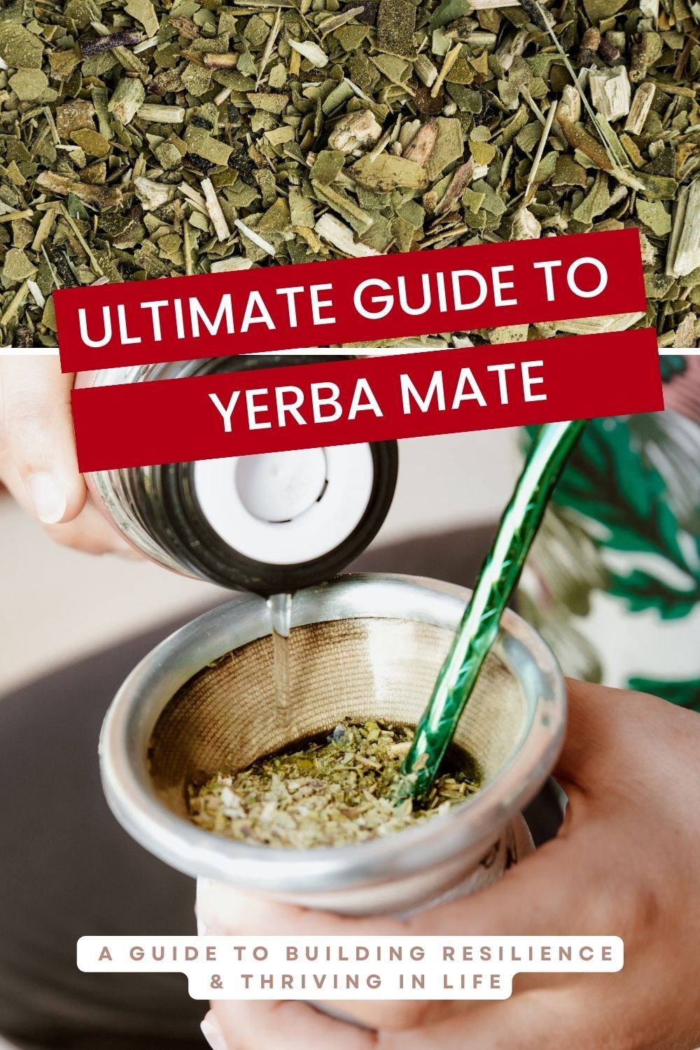 Yerba Mate_ The Hottest Trend in Wellness That Has Everyone Buzzing - Pin.jpg