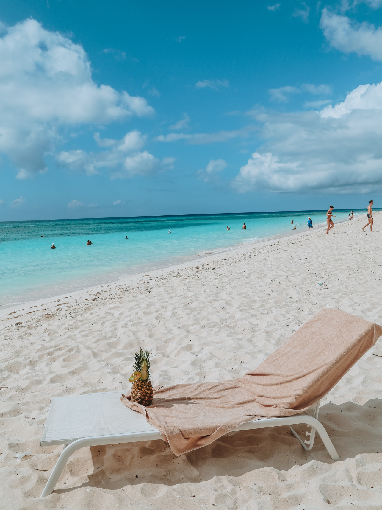 Insider's Guide: Punta Cana Wellness Travel Guide punta+cana+ +wellness+travel+guide+ +3