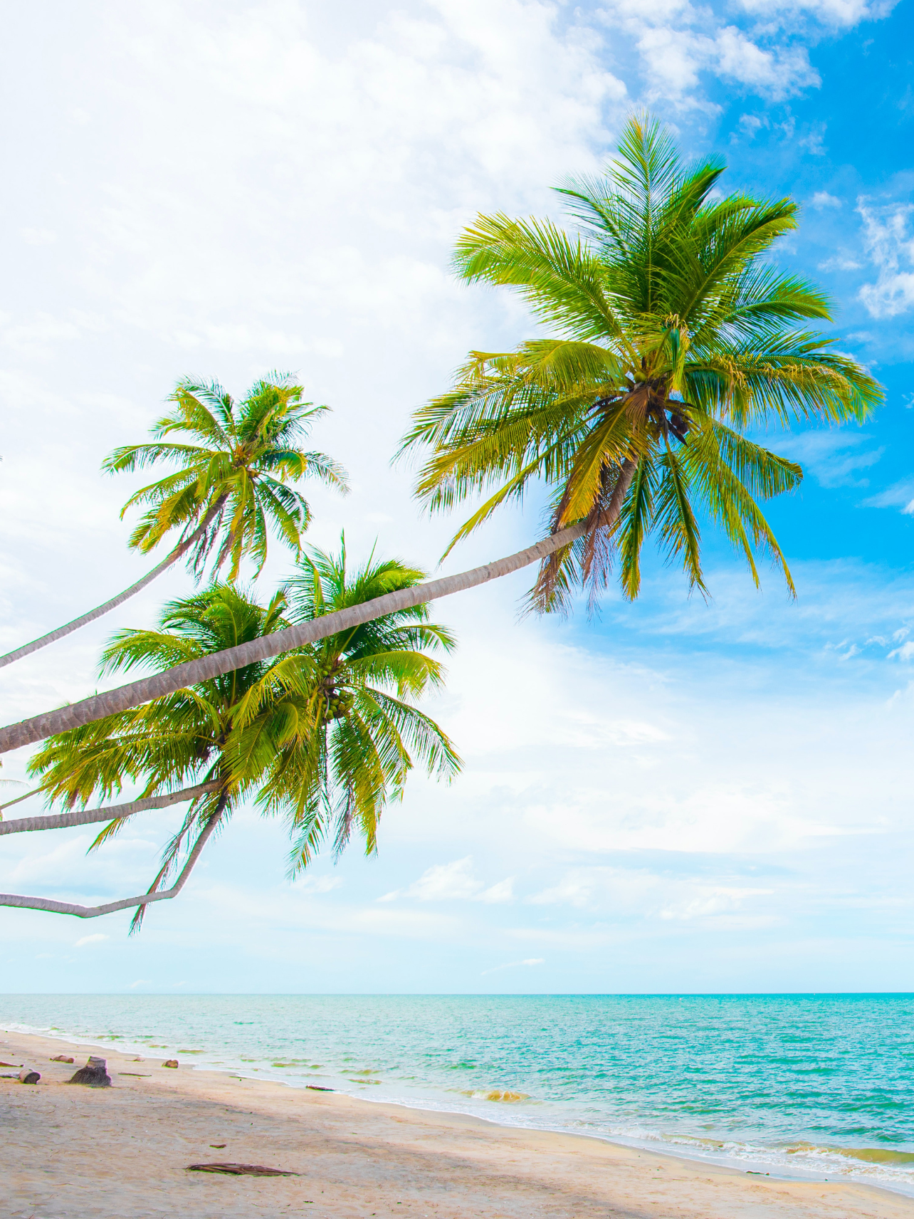 Insider's Guide: Punta Cana Wellness Travel Guide punta+cana+ +wellness+travel+guide+ +7
