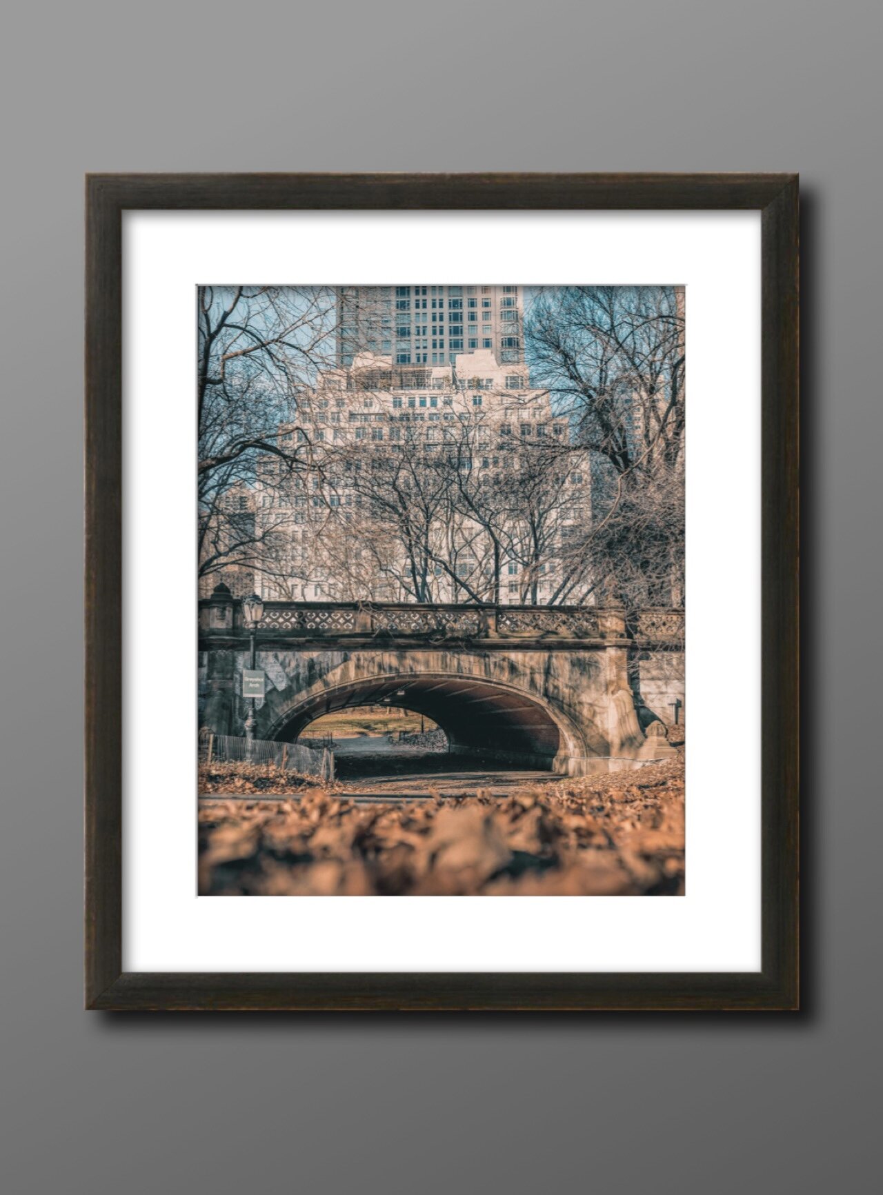 CentralPark_plainbkgrd.jpg