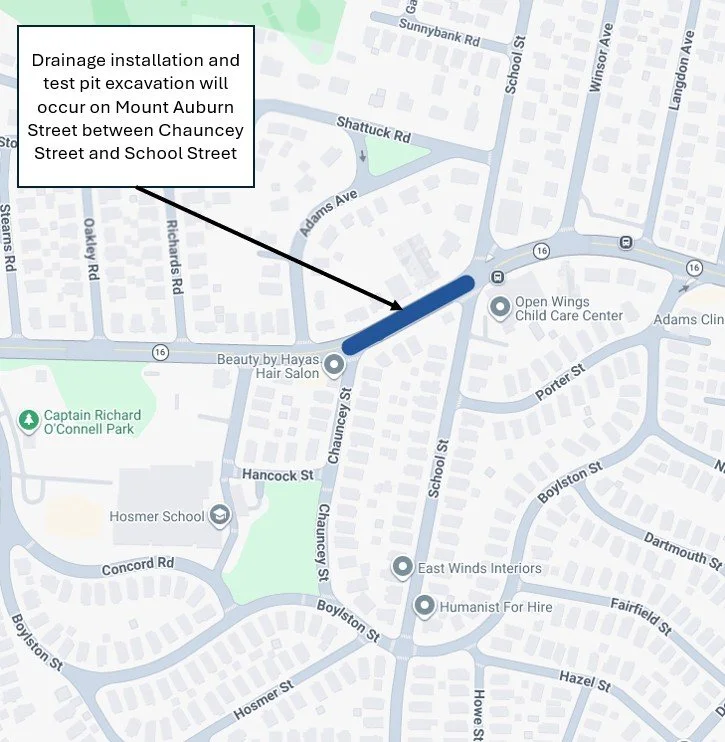 Screenshot 2026-02-13 114315.jpg