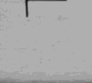1s9qo4.gif