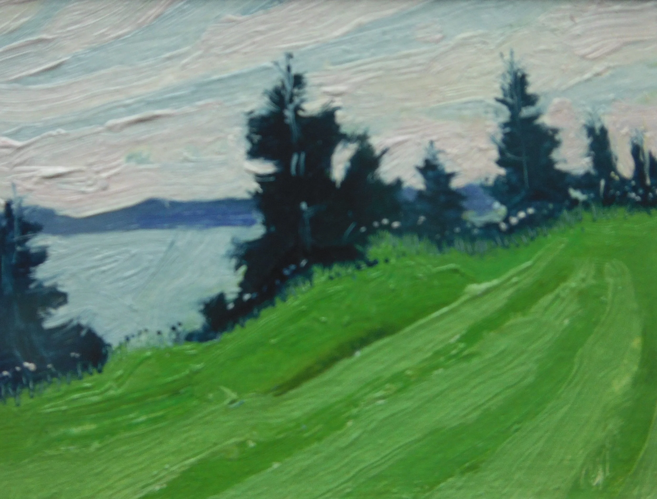 Spruce on the Shore.JPG