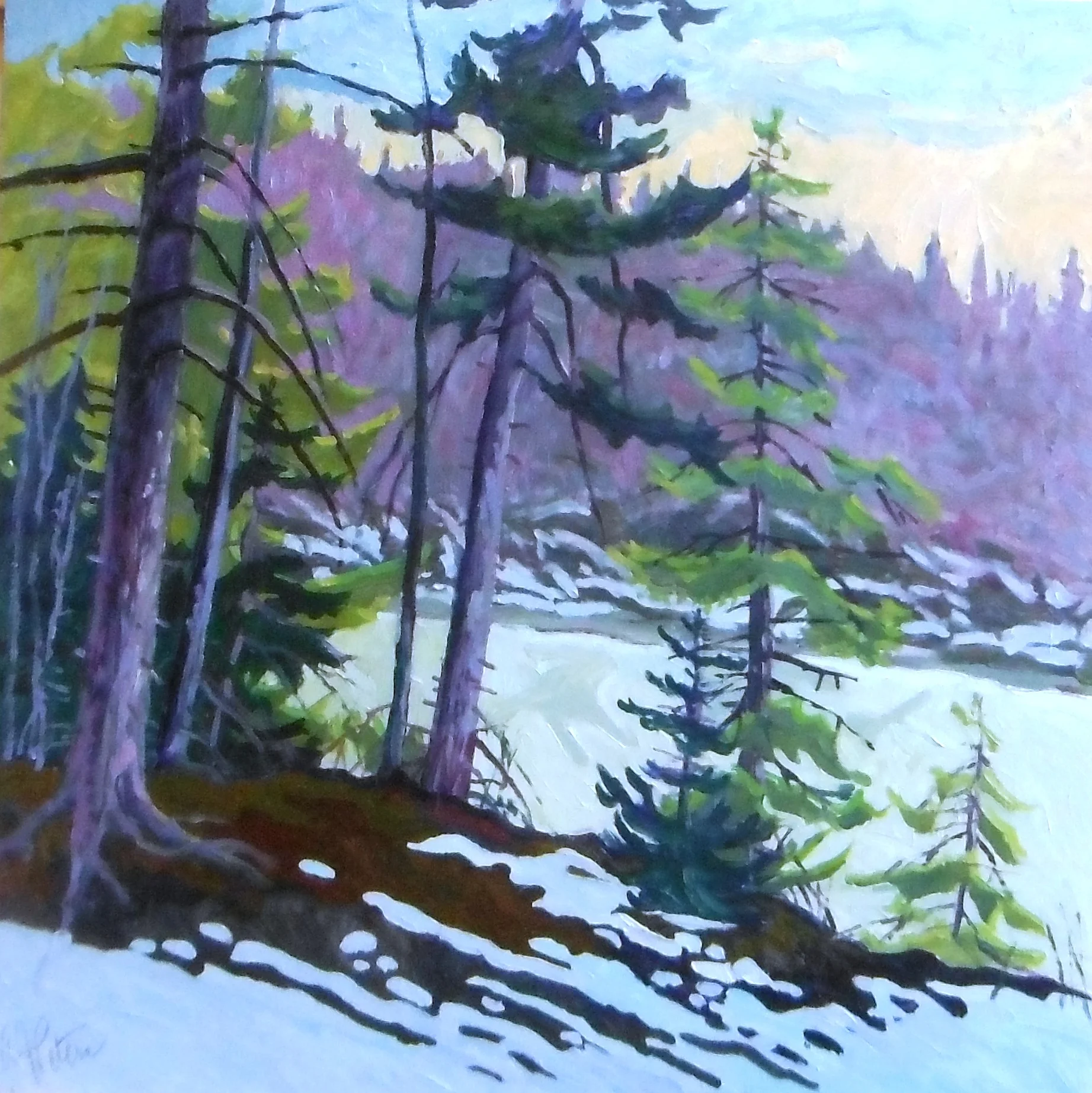 Back Cove 24" x 24"