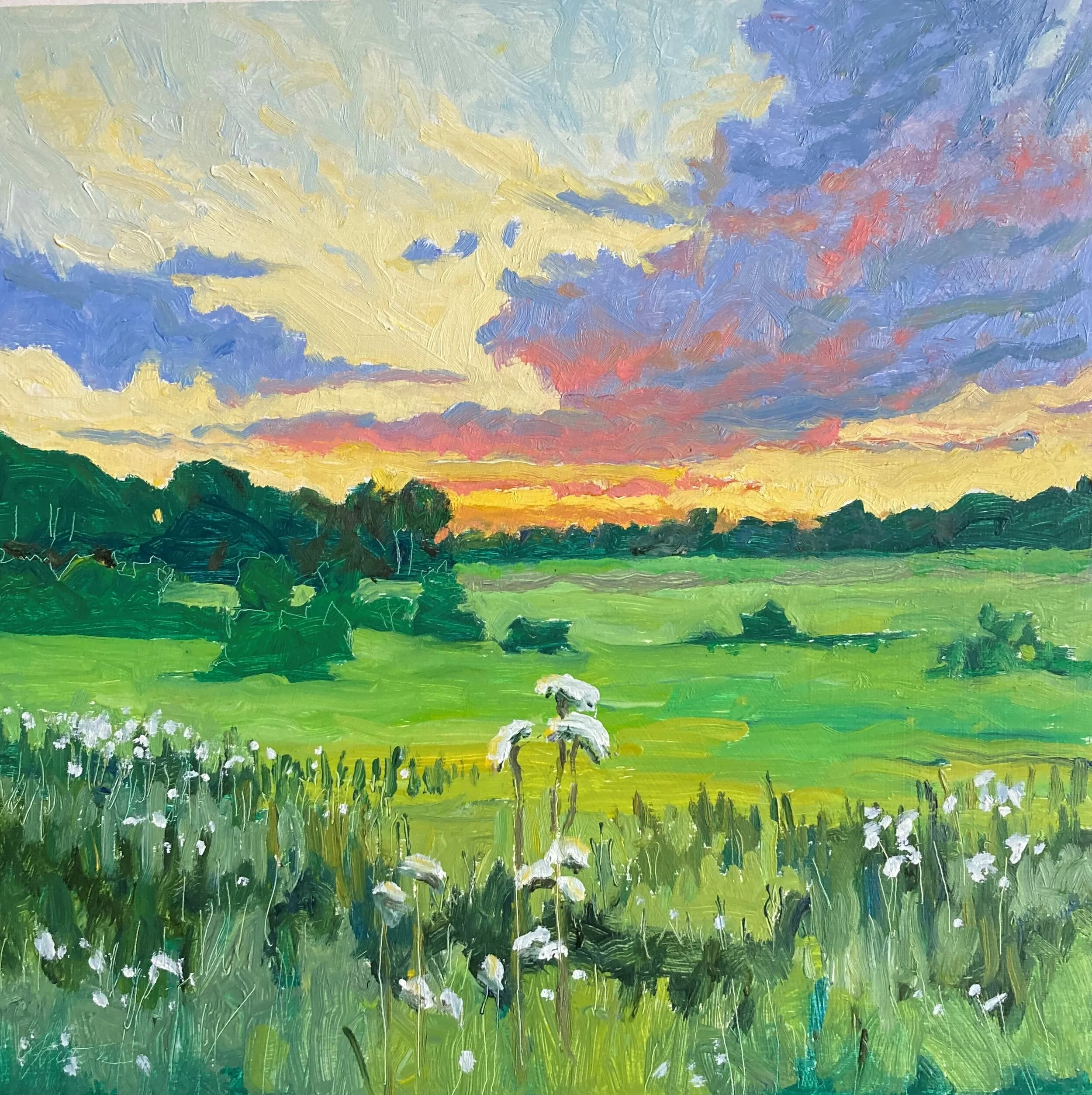 Evening Splender 12x12.JPG