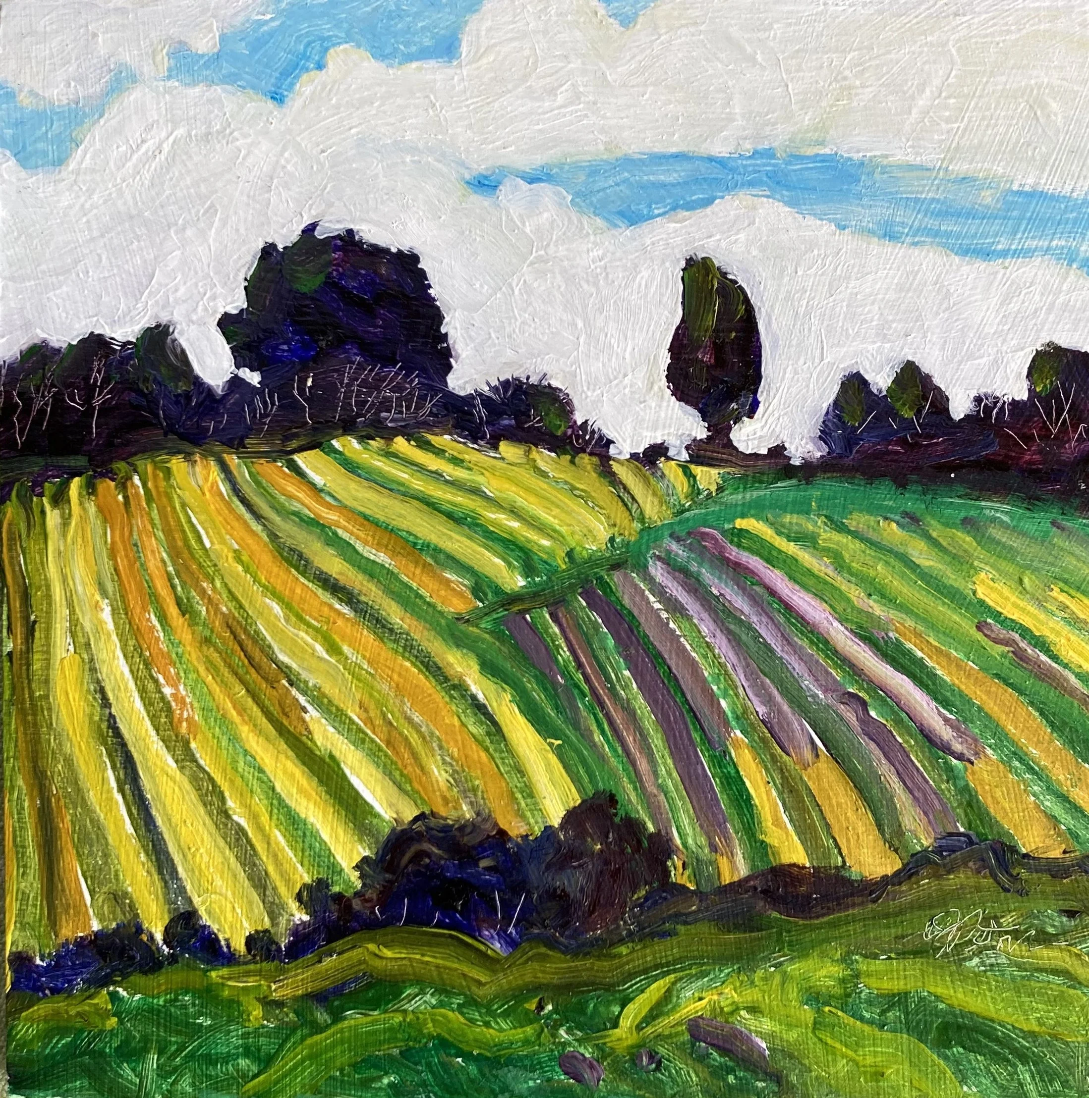 Rows and Rows 6x6.JPG