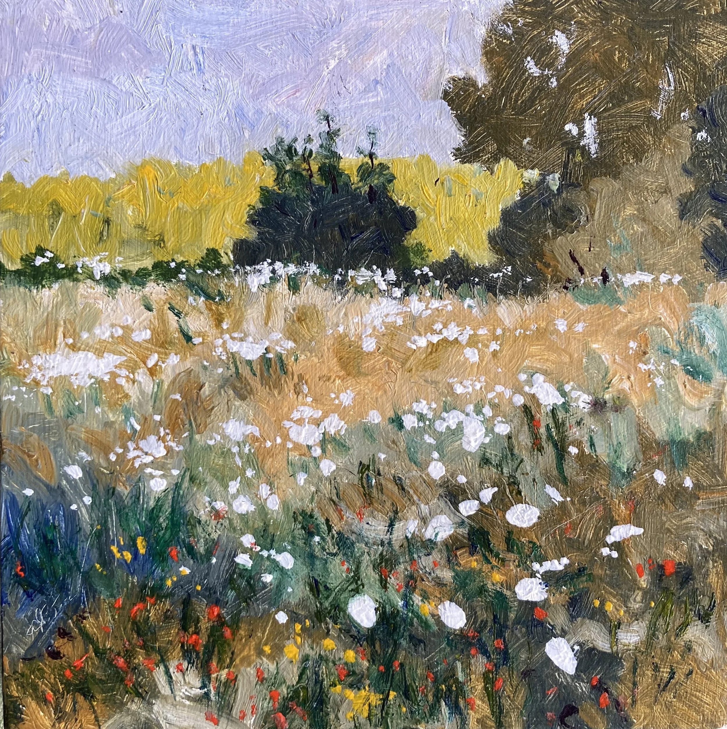 Field Flowers Final 6x6.JPG