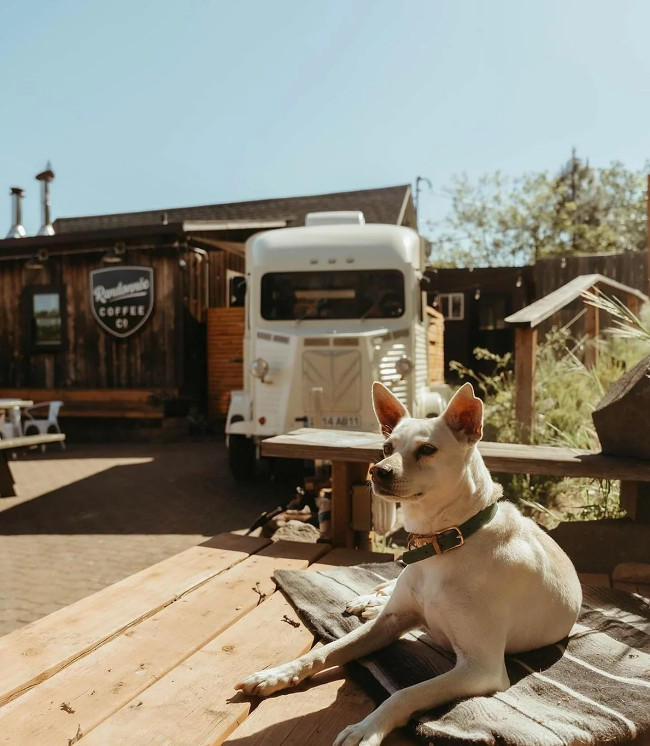 The Wagon Social Club - Mosier