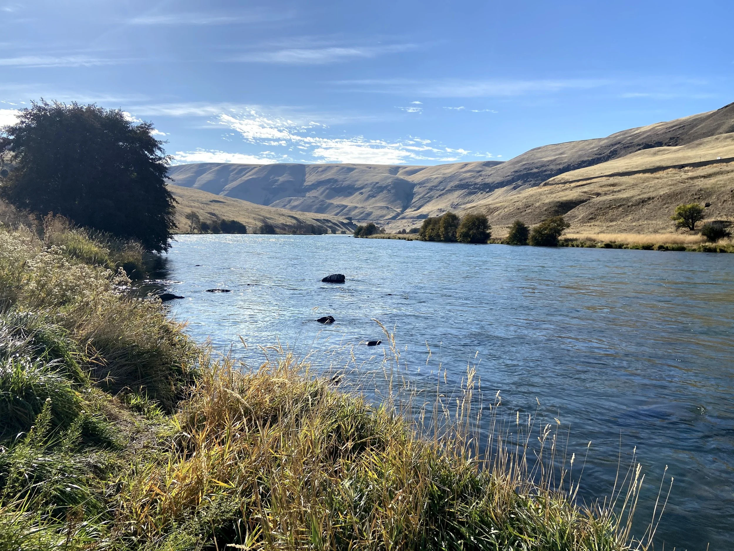 Day 1 at Maryhill Winery  - Goldendale Washington