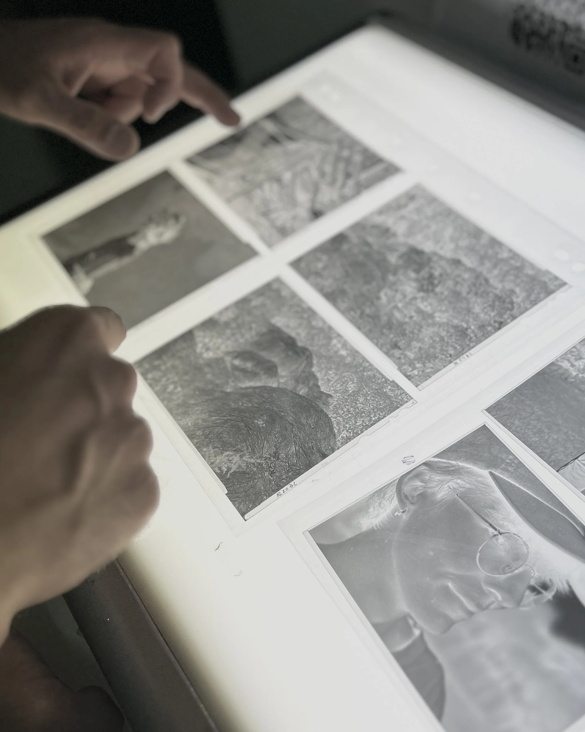   Analog Photography Workshop with Francesco Neri.  Hochschule München 