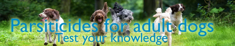 CPD-Banner.jpg