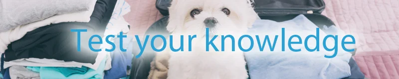 Taking-pets-abroad-test-your-knowledge.jpg