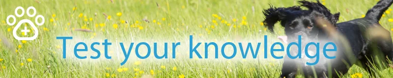 which-tick-product-test-your-knowledge.jpg