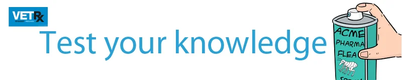 Flea-infestations-test-your-knowledge.jpg