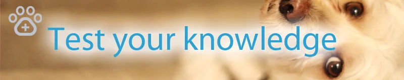 grapiprant-test-your-knowledge.jpg